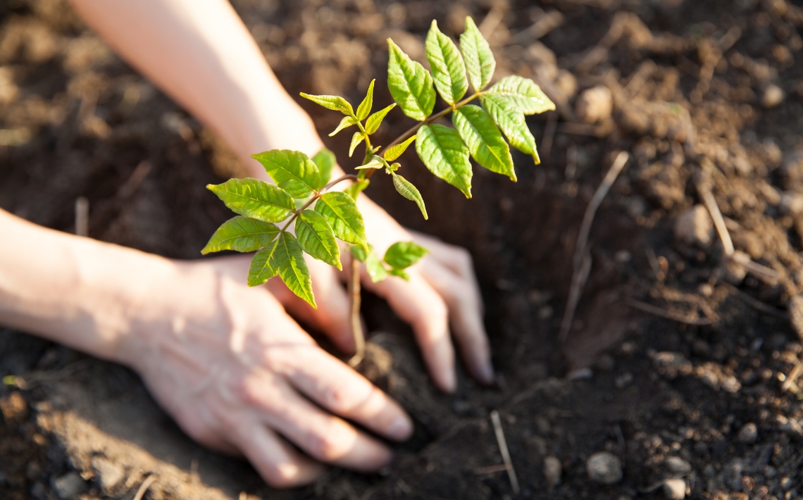 循環型社会・低炭素化社会の実現に貢献すべく様々な取り組み
