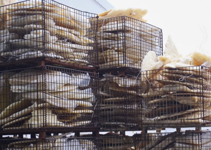 PP・PE 工程ロス品/端材